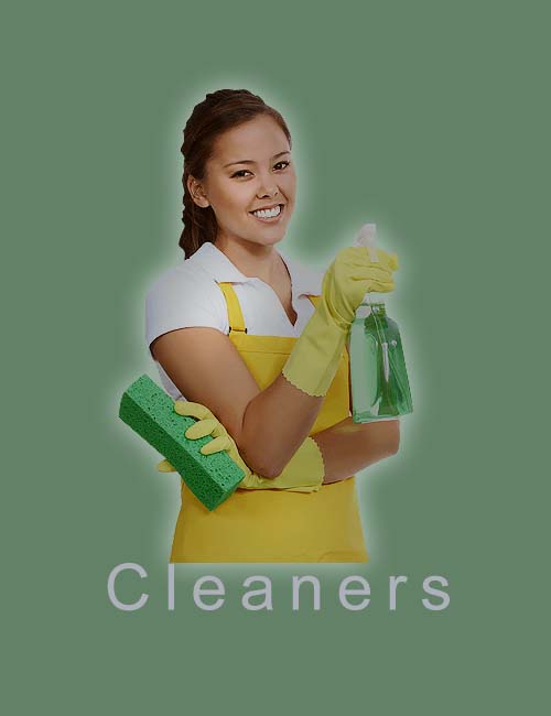 cleaner