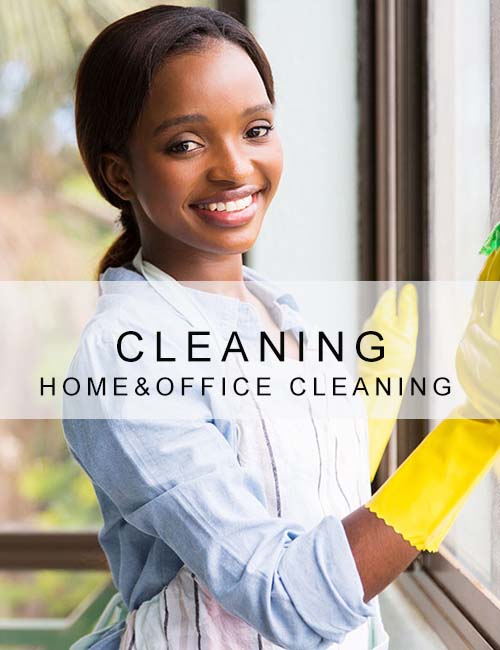 cleaning2